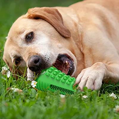 環境に優しい食べこぼし給餌ゴム犬のおもちゃ咀嚼ペットのおもちゃ噛みつき防止ボール